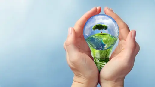 Eco Programme (new platform 2022 HSN)
