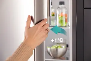 REFRIG HZLF4068SED RM469N4ACD HSN